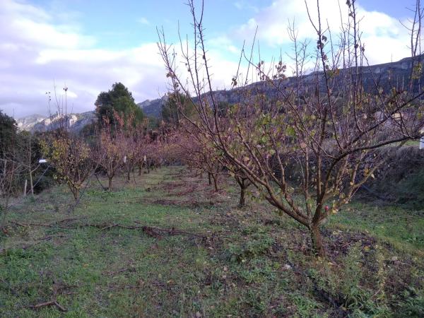 Terreno en Cv-700, 12