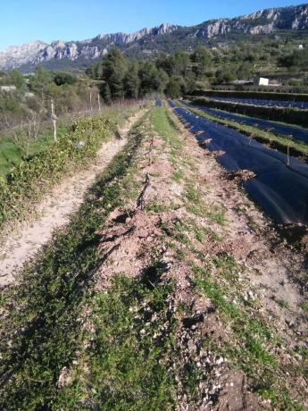 Terreno en Cv-700, 12