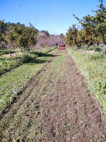 Terreno en Cv-700, 12