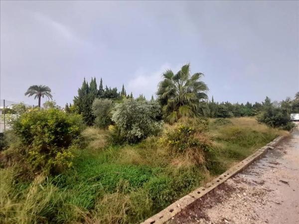 Terreno en Partida Sorts de la Mar Cl-19