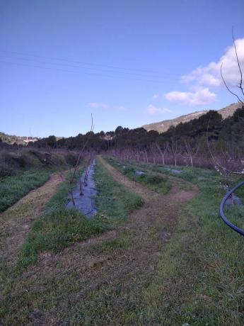 Terreno en Cv-700, 12