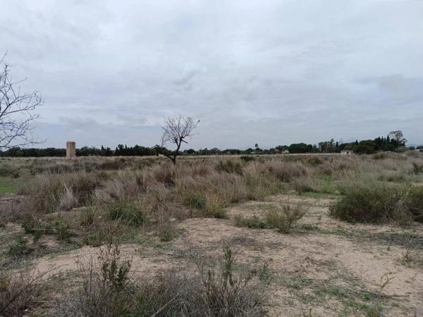 Terreno en calle Tirant Lo Blanc