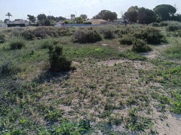 Terreno en calle Tirant Lo Blanc