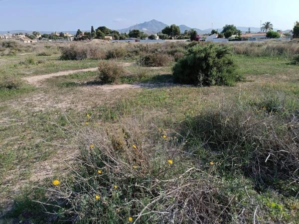 Terreno en calle Tirant Lo Blanc