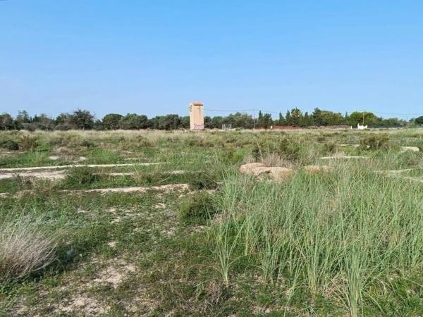 Terreno en calle Tirant Lo Blanc