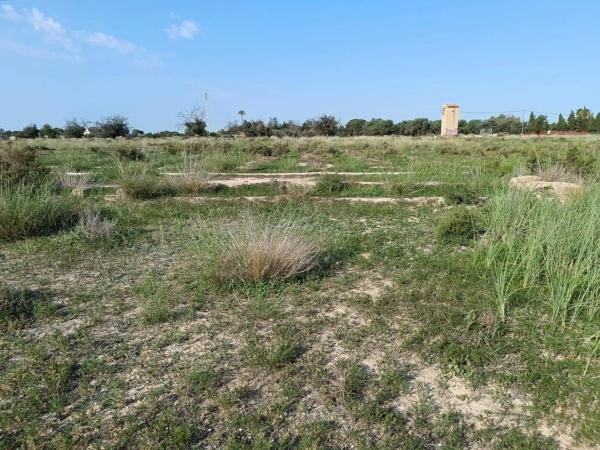 Terreno en calle Tirant Lo Blanc