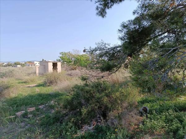 Terreno en calle Tirant Lo Blanc