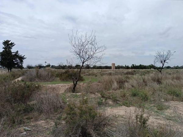 Terreno en calle Tirant Lo Blanc