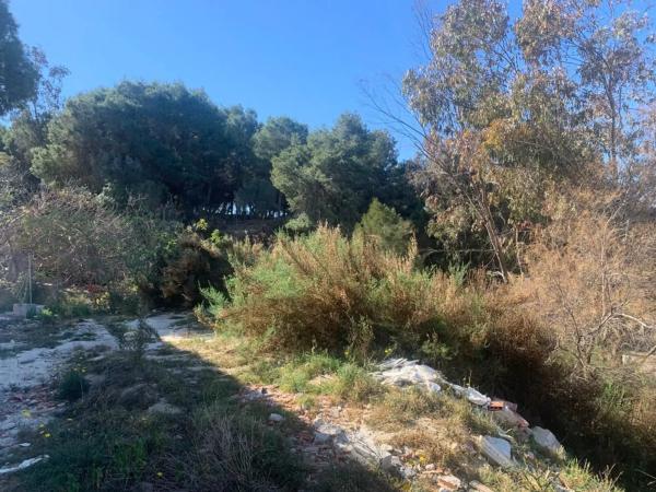 Terreno en calle Almoradí