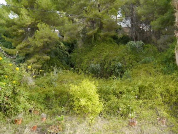 Terreno en Cala Advocat - Baladrar