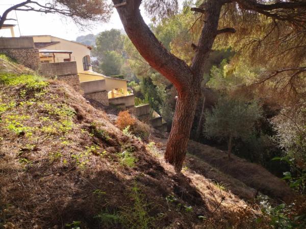 Terreno en Cala Advocat - Baladrar