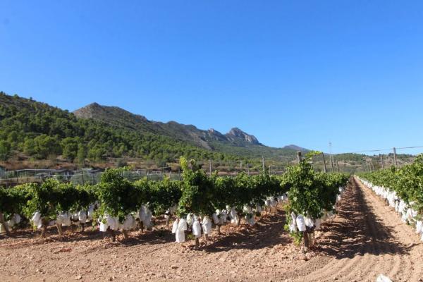 Terreno en La Romana