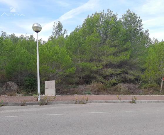 Terreno en Cap Martí - Pinomar