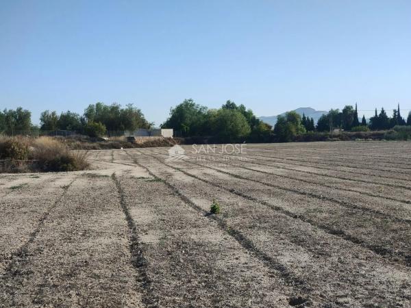 Terreno en Pedanías Este