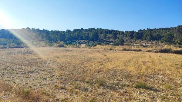 Terreno en Partida Bellongues, km 58