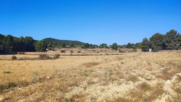 Terreno en Partida Bellongues, km 58