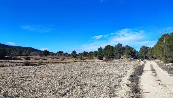 Terreno en Partida Bellongues, km 58