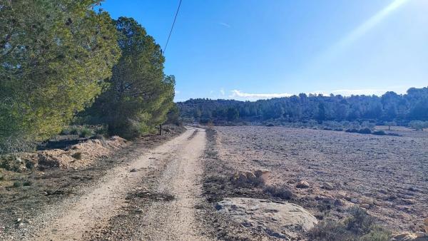 Terreno en Partida Bellongues, km 58