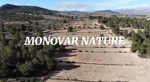 Terreno en Partida Bellongues, km 58