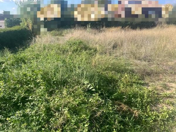 Terreno en Urbanización Finca Terol