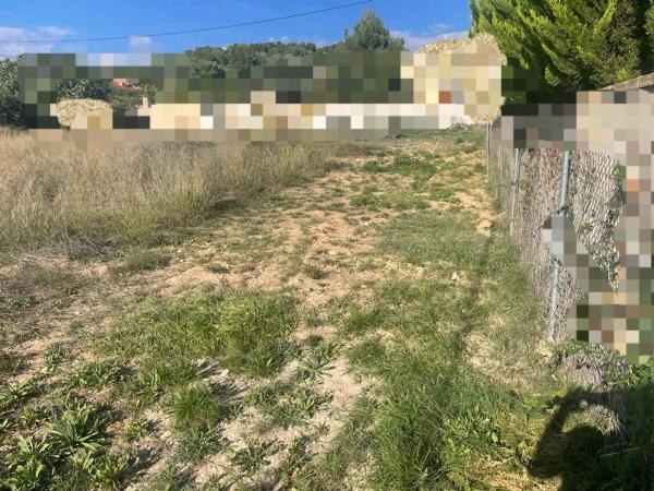 Terreno en Urbanización Finca Terol