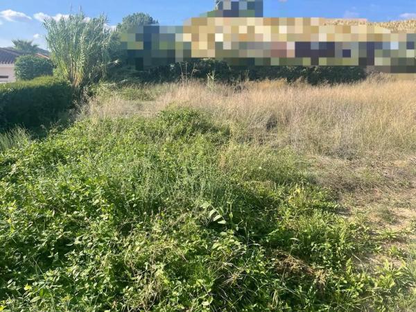 Terreno en Urbanización Finca Terol