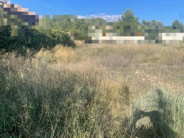 Terreno en Urbanización Finca Terol