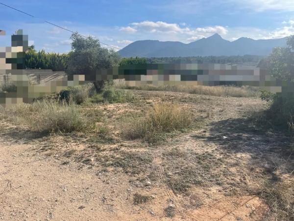 Terreno en Urbanización Finca Terol