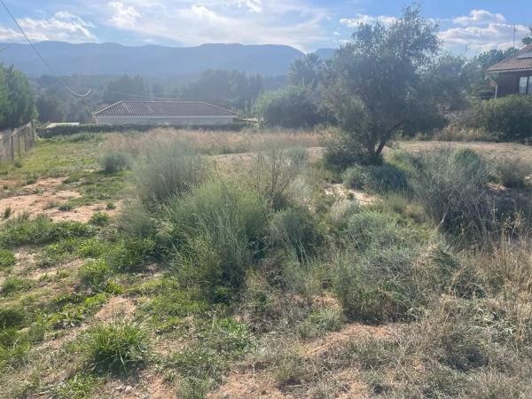 Terreno en Urbanización Finca Terol