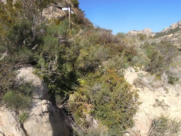 Terreno en calle llevant