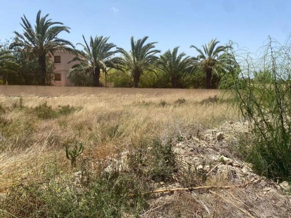 Terreno en Partida Perleta