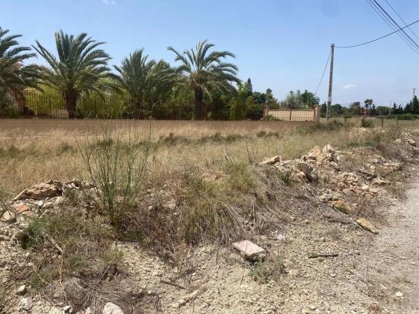 Terreno en Partida Perleta