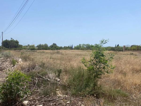 Terreno en Partida Perleta