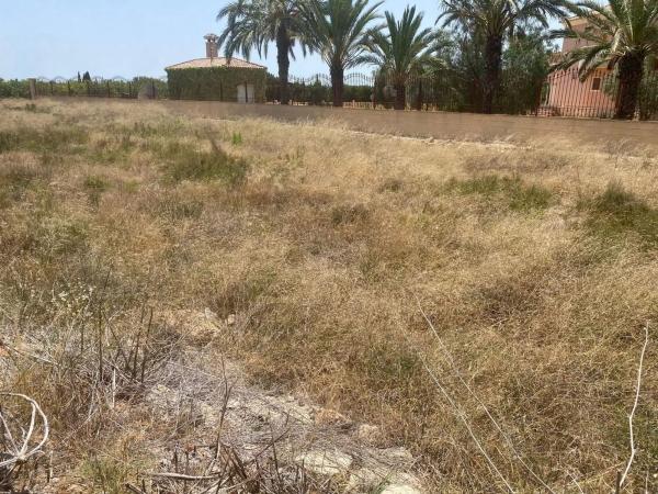 Terreno en Partida Perleta