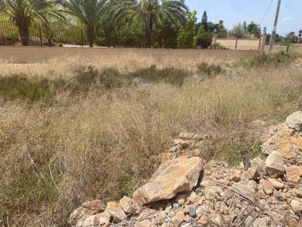 Terreno en Partida Perleta