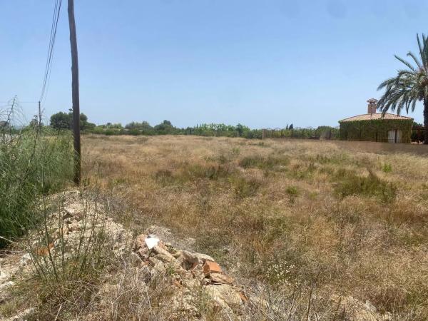Terreno en Partida Perleta