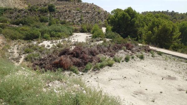 Terreno en calle León