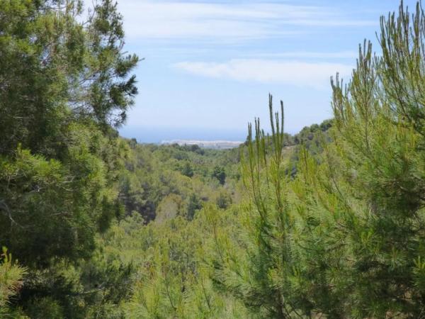 Terreno en Altea la Vella
