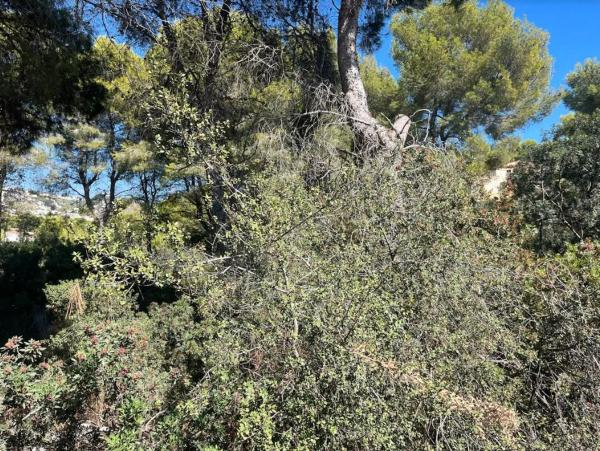 Terreno en Benissa pueblo