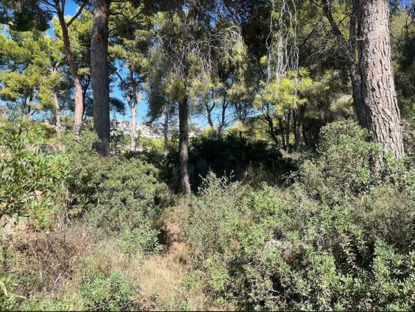 Terreno en Benissa pueblo