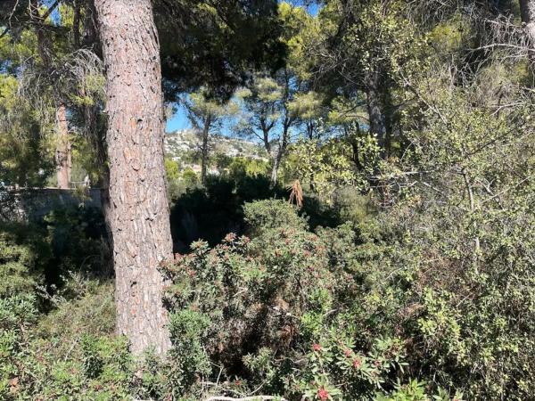 Terreno en Benissa pueblo