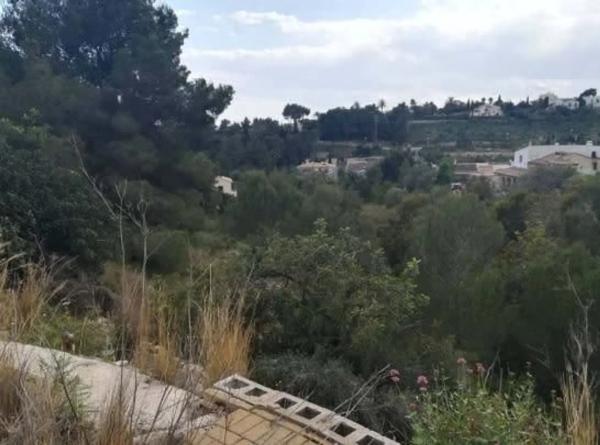 Terreno en Partida Tosal - Zona dels Castellans