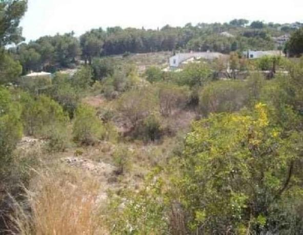 Terreno en Partida Tosal - Zona dels Castellans