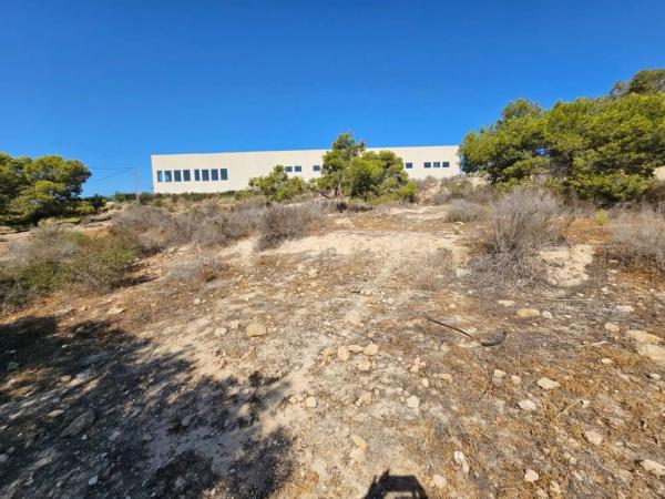 Terreno en calle Alonso Cano