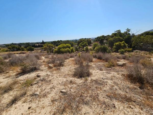 Terreno en calle Alonso Cano