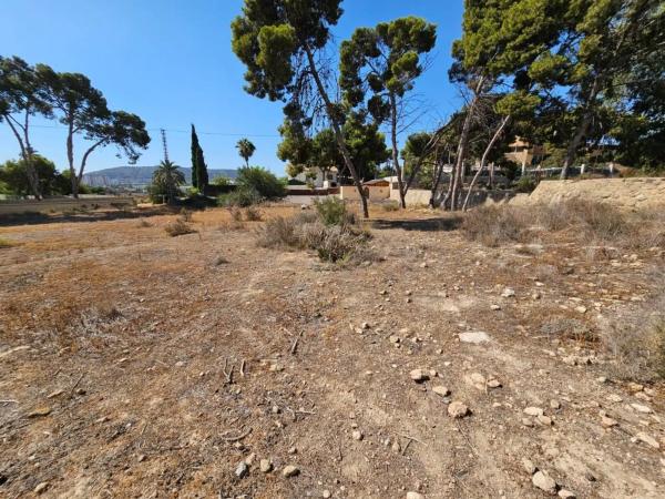 Terreno en calle Alonso Cano