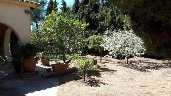 Terreno en Cometa-Carrió