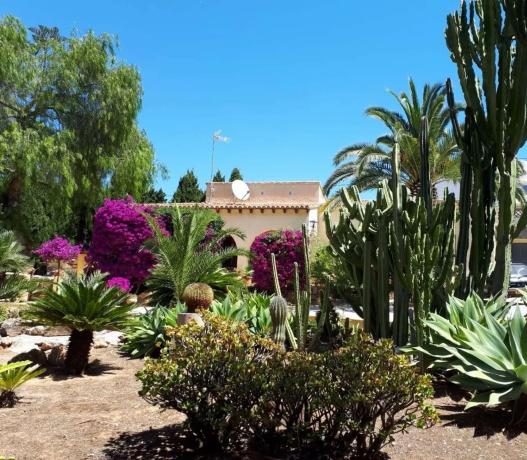 Terreno en Cometa-Carrió