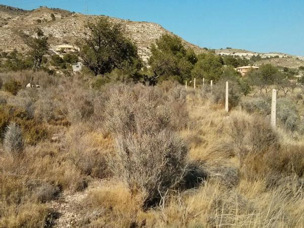 Terreno en camino pla del rocar, 1