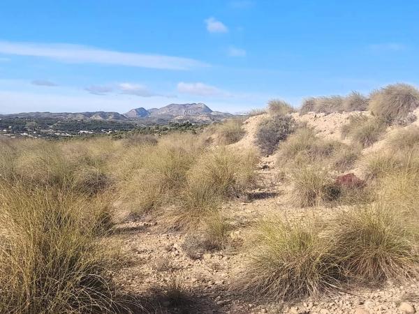 Terreno en La Galia-Bonavista